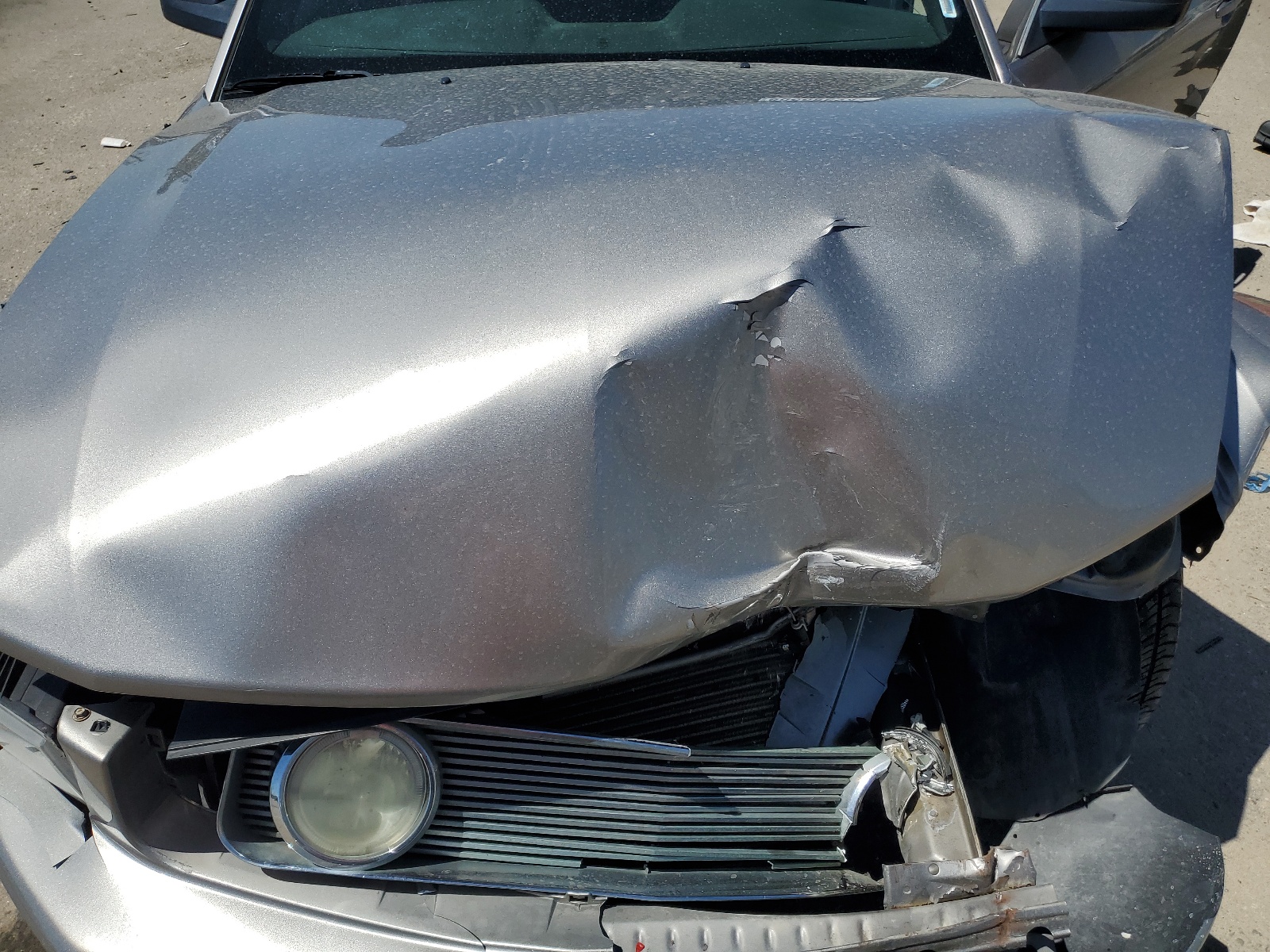 1ZVHT80N585146975 2008 Ford Mustang