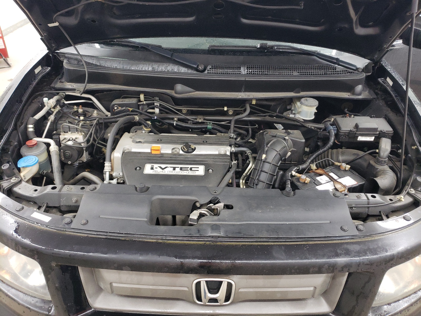 5J6YH18917L005229 2007 Honda Element Sc