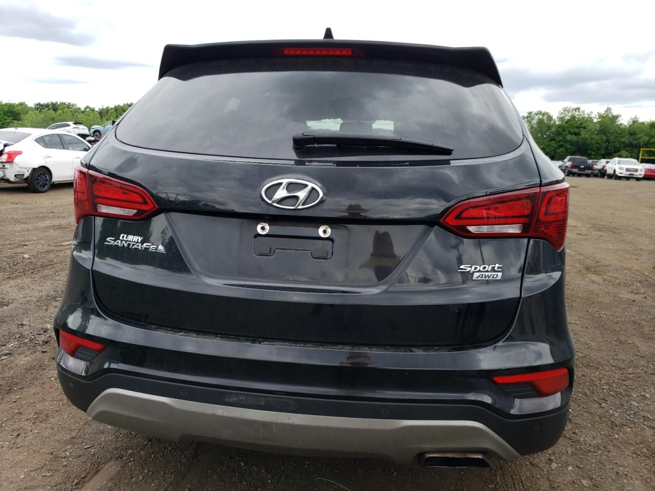 VIN 5NMZUDLB4HH045647 2017 HYUNDAI SANTA FE no.6