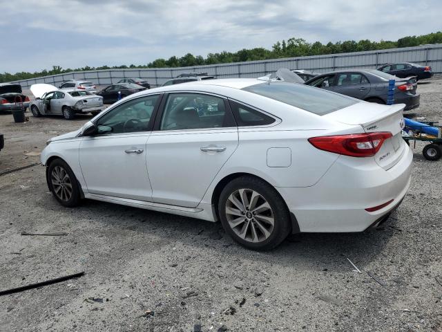 5NPE34AF6HH457515 | 2017 Hyundai sonata sport