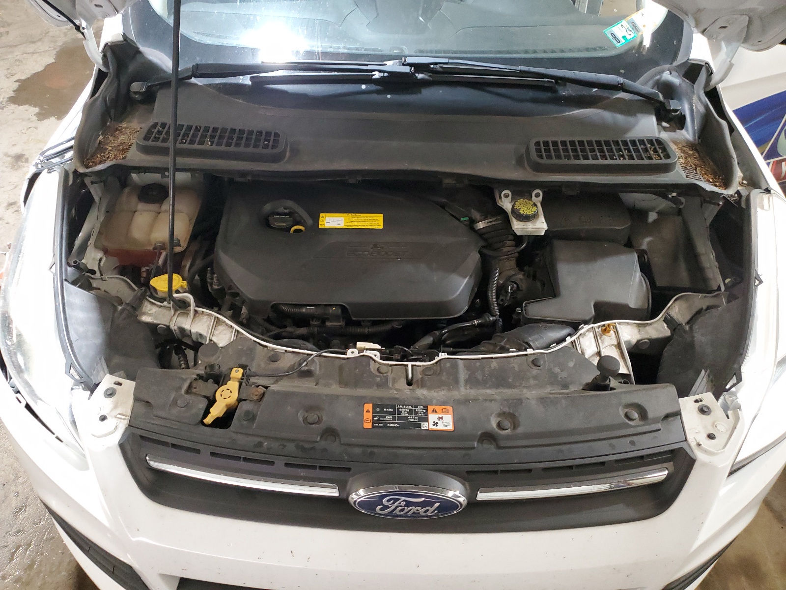 1FMCU9GX4FUC53862 2015 Ford Escape Se