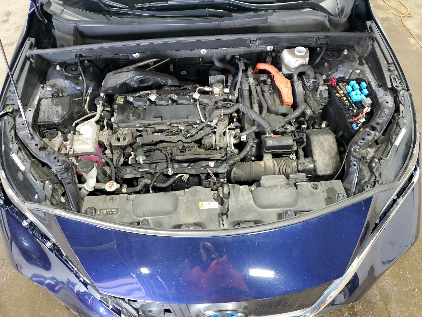 JTEAAAAH8MJ016891 2021 Toyota Venza Le