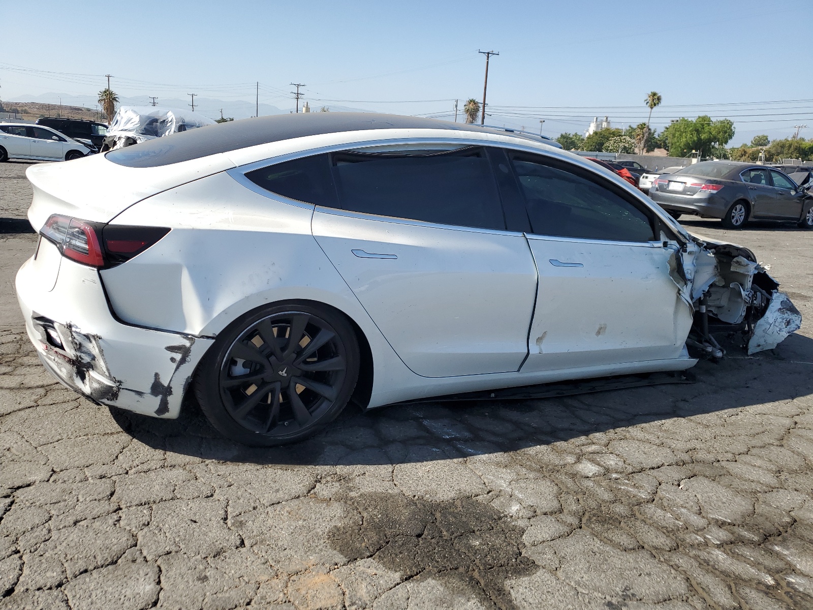 2020 Tesla Model 3 vin: 5YJ3E1EA4LF614786