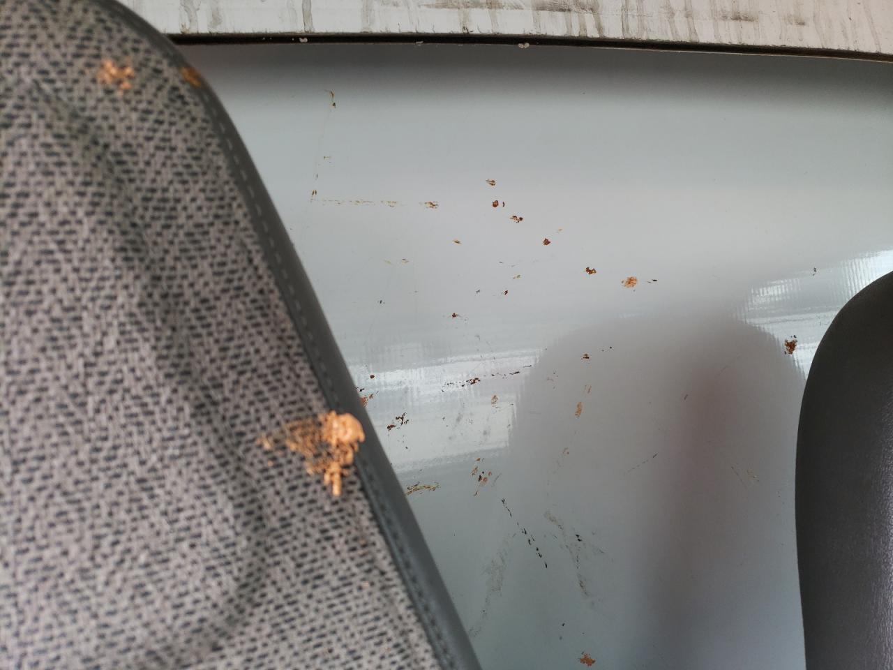 2017 Chevrolet Express G3500 VIN: 1HA3GTCG0HN001579 Lot: 59166674