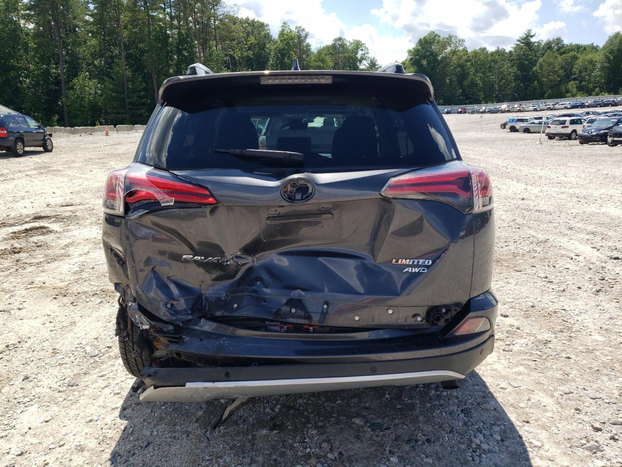 2017 Toyota Rav4 Limited VIN: JTMDFREV9HJ153734 Lot: 60802124