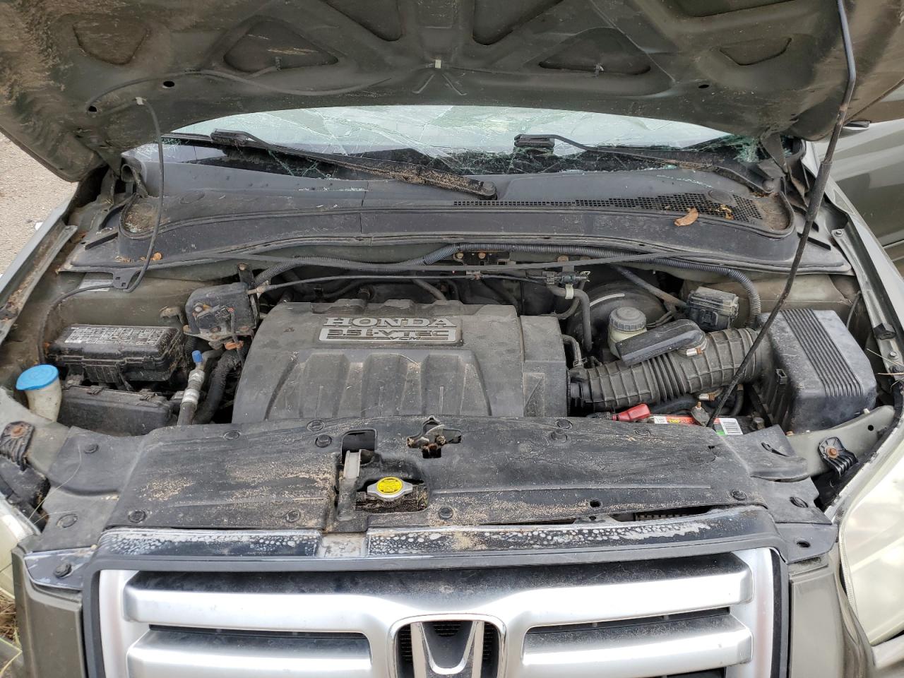 2006 Honda Pilot Ex VIN: 5FNYF28756B019295 Lot: 60905134