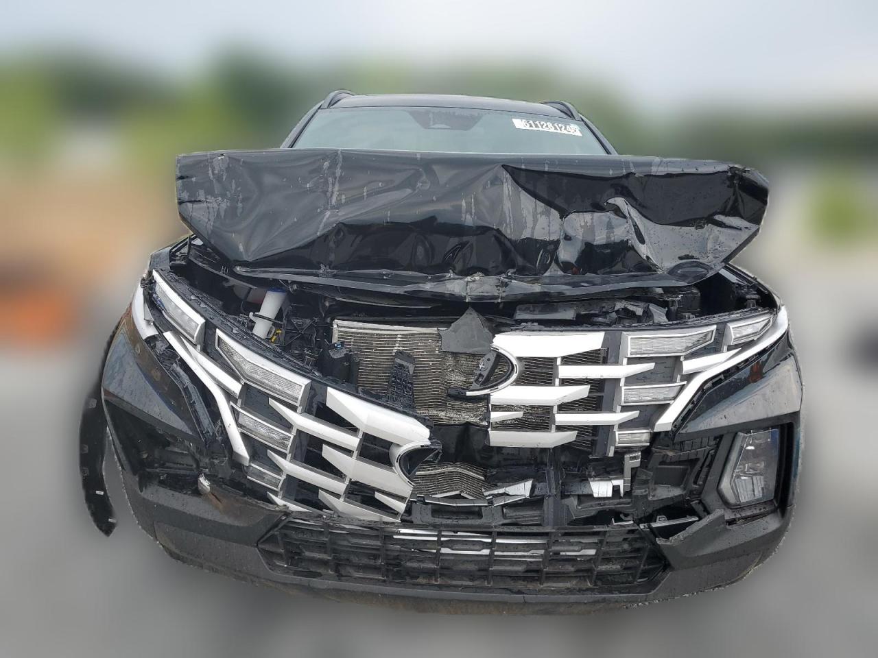 2024 Hyundai Santa Cruz Sel VIN: 5NTJCDAE4RH092390 Lot: 61128124