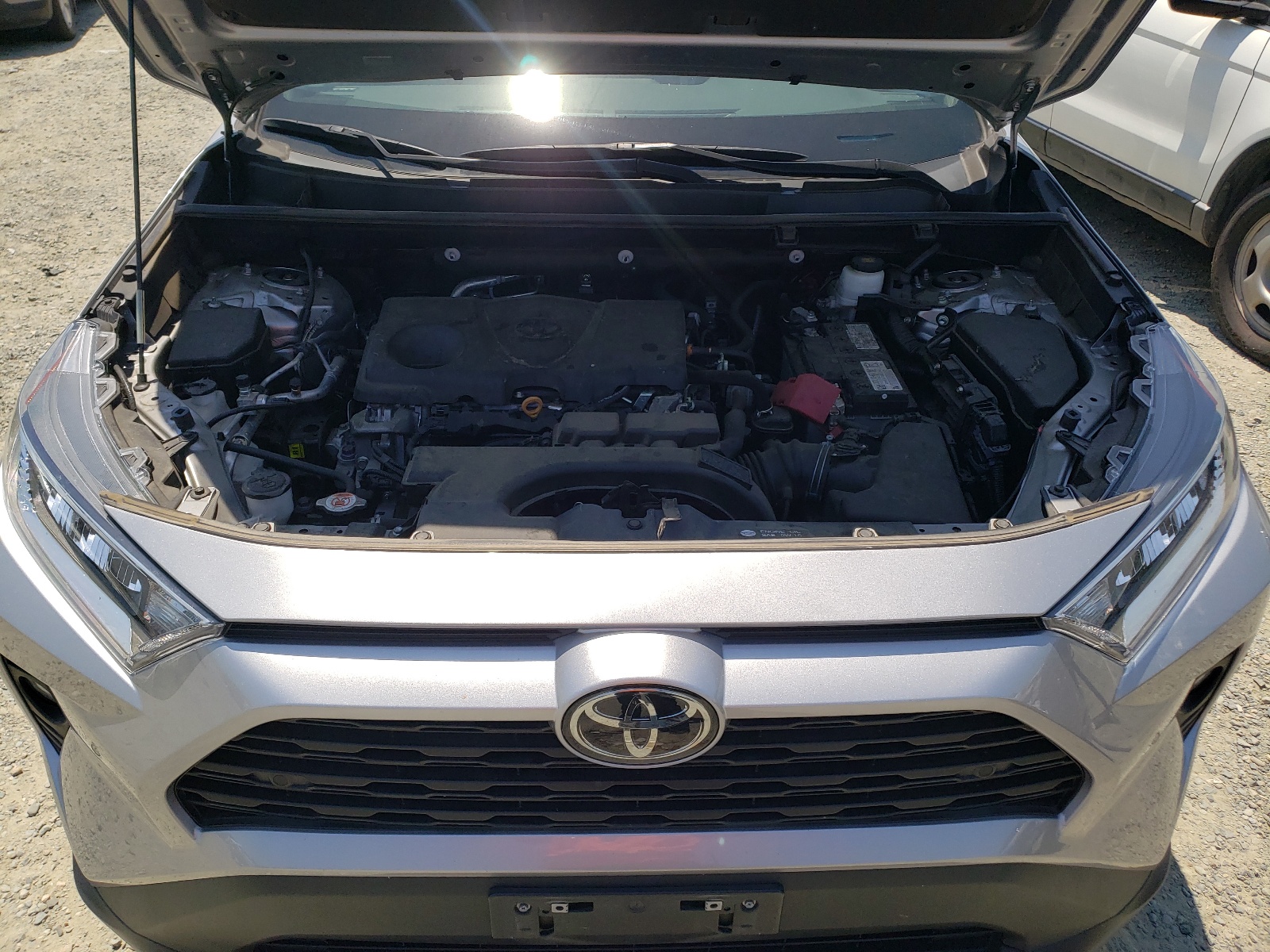 2T3C1RFV2MC110181 2021 Toyota Rav4 Xle Premium