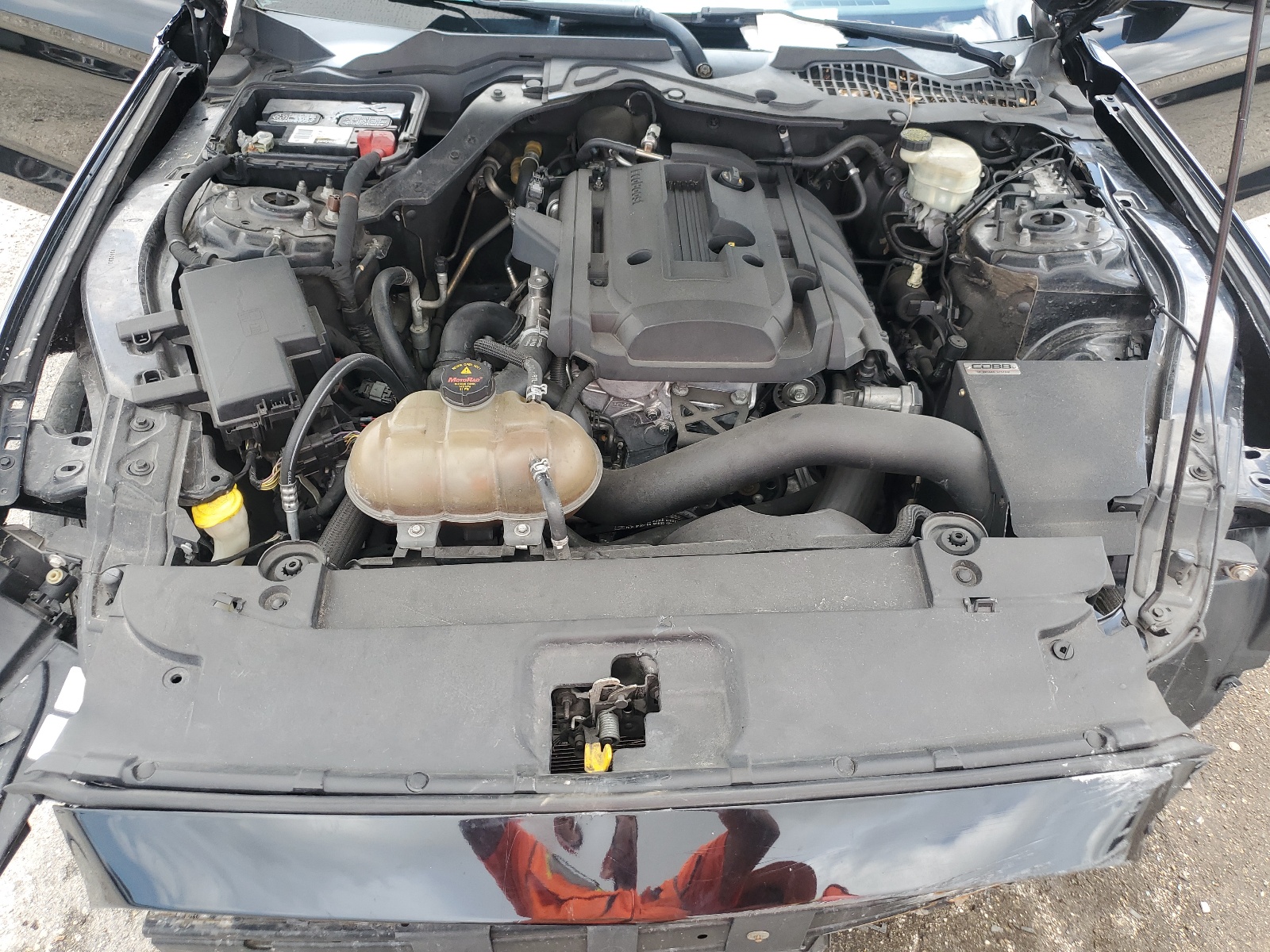 1FA6P8TH4H5282699 2017 Ford Mustang