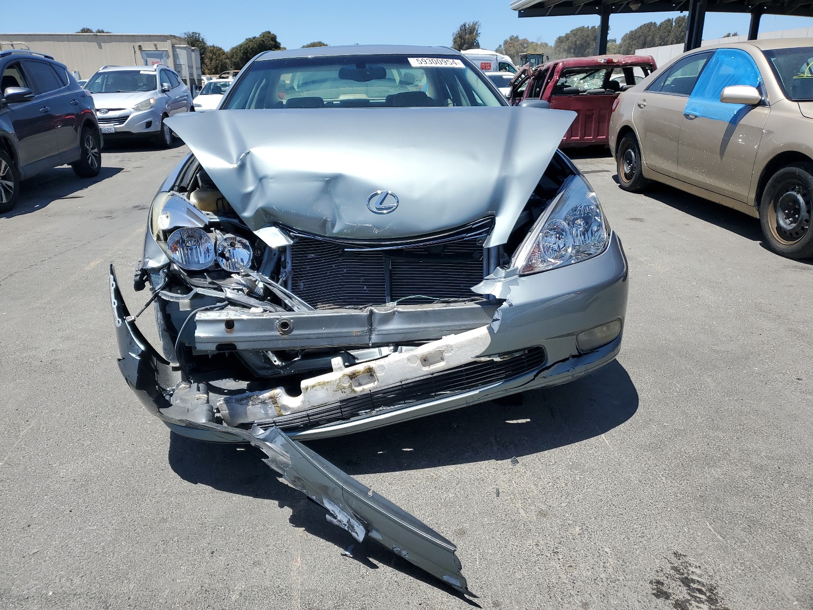 JTHBA30G545044295 2004 Lexus Es 330