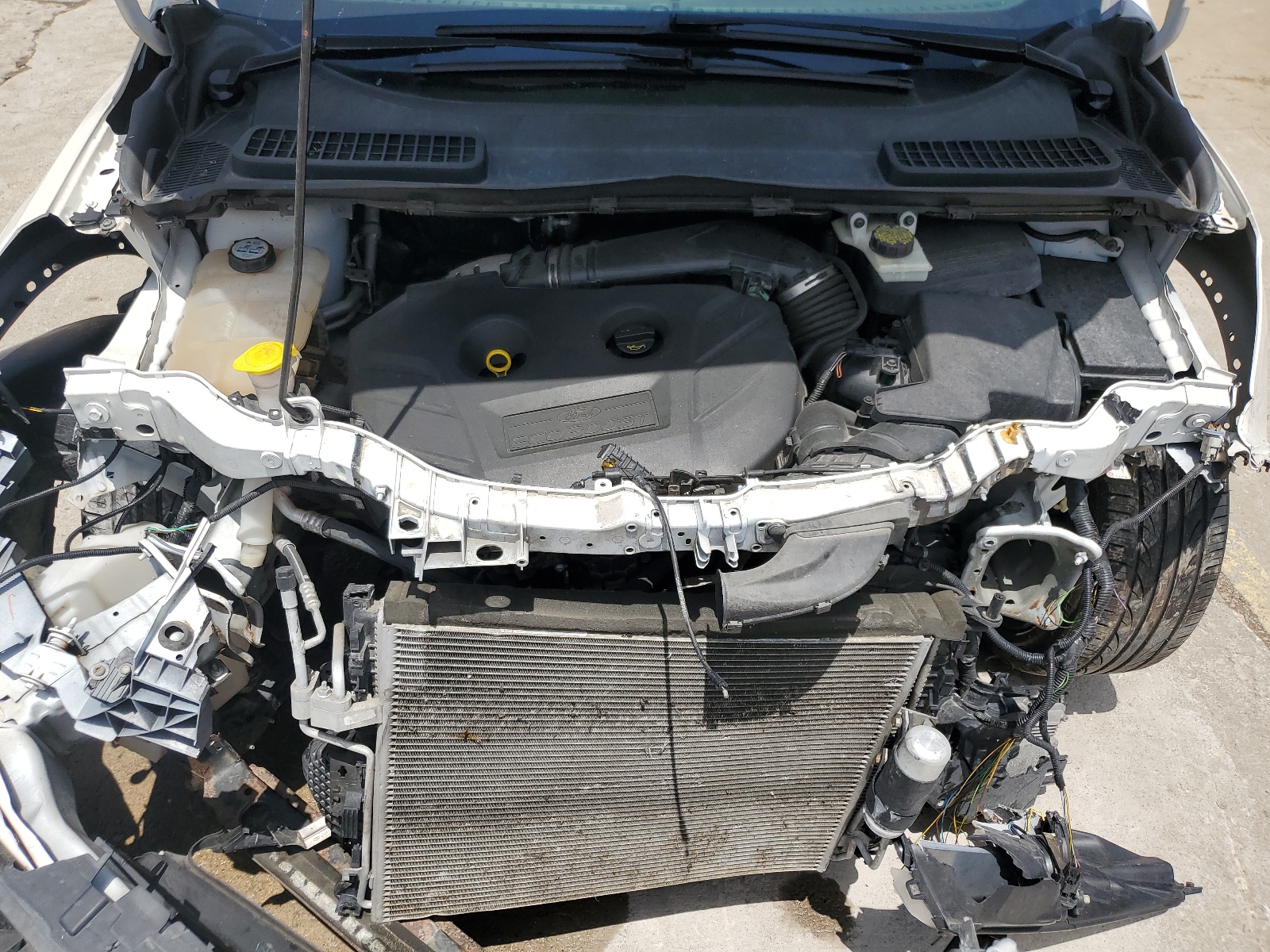 1FMCU9H96DUC88173 2013 Ford Escape Sel