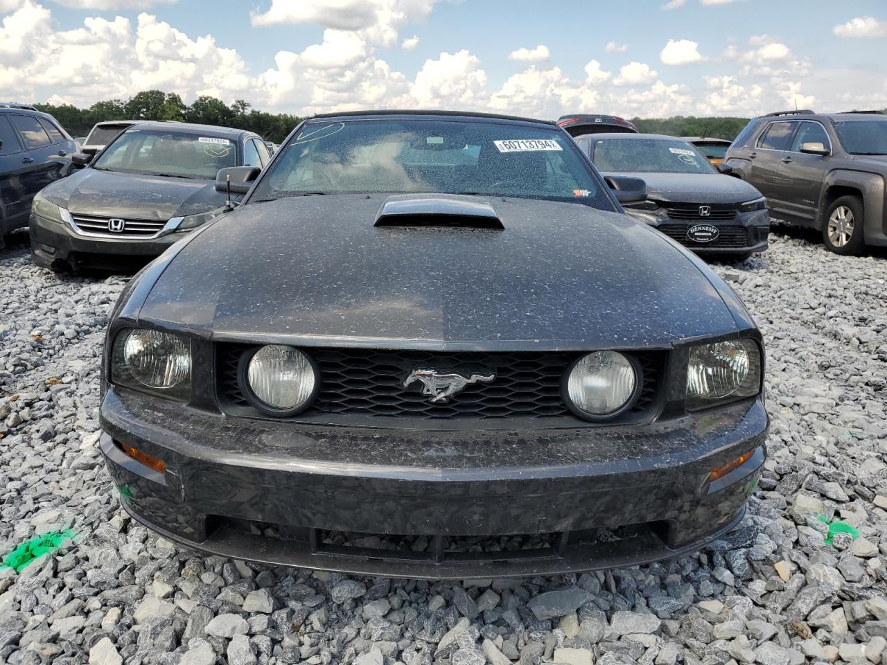 2008 Ford Mustang Gt VIN: 1ZVHT85H685101272 Lot: 60713794