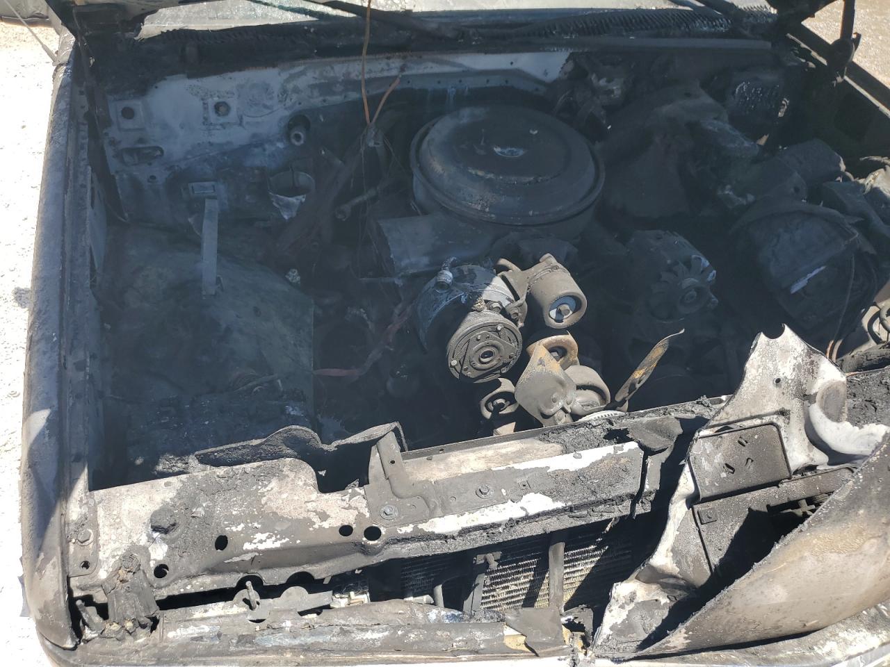 1995 Chevrolet Gmt-400 C2500 VIN: 2GCFC29KXS1301139 Lot: 59282284