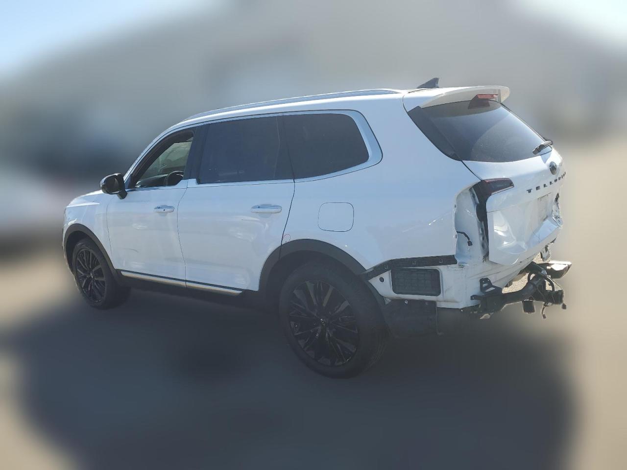 2021 Kia Telluride Sx VIN: 5XYP54HC3MG137911 Lot: 57309404
