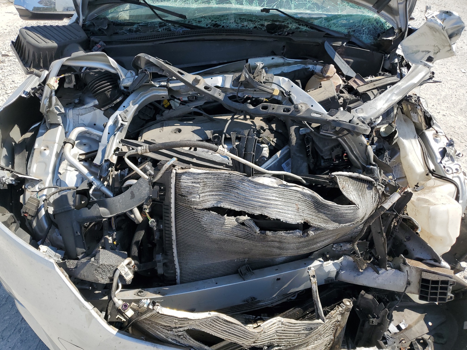 2GNAXPEX8K6165696 2019 Chevrolet Equinox Premier