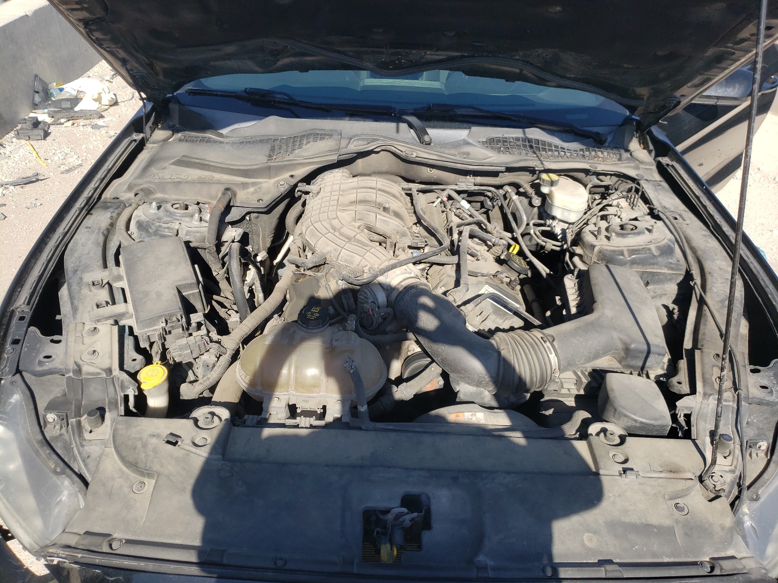 1FA6P8AM0F5399953 2015 Ford Mustang