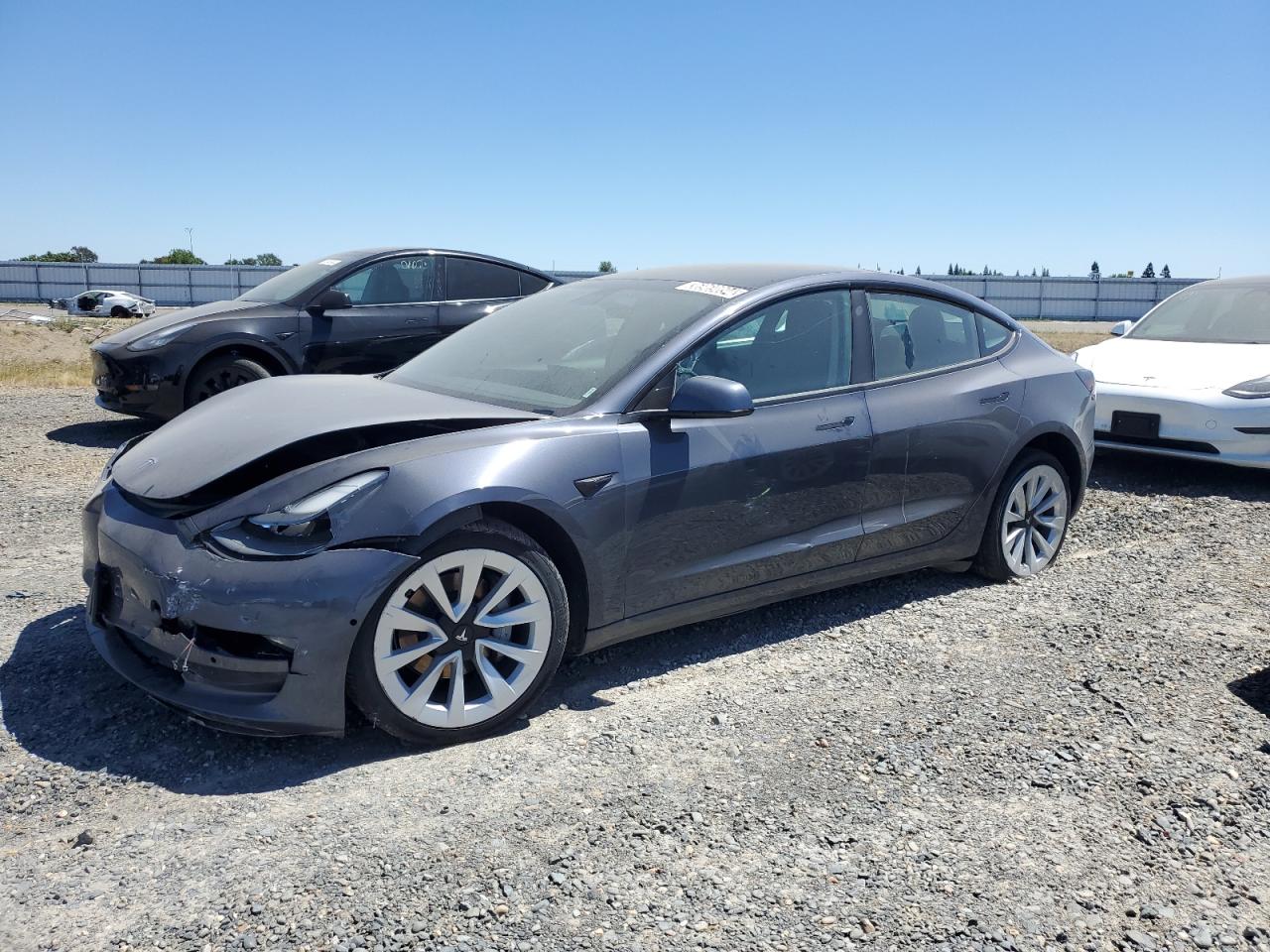 2022 Tesla Model 3 VIN: 5YJ3E1EB0NF143912 Lot: 36969894