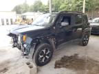 2019 Jeep Renegade Trailhawk იყიდება Hueytown-ში, AL - Vandalism