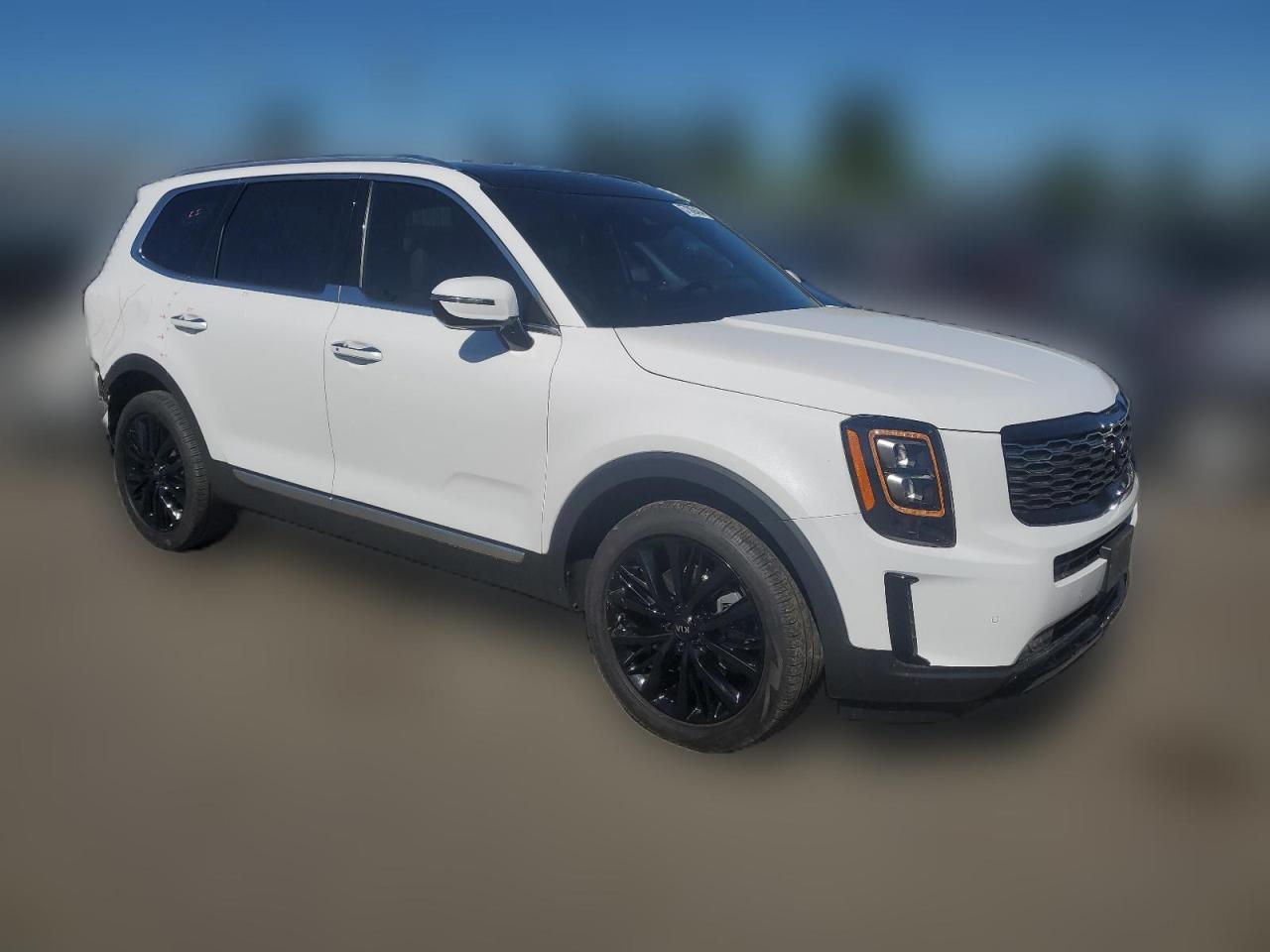 2021 Kia Telluride Sx VIN: 5XYP54HC3MG137911 Lot: 57309404