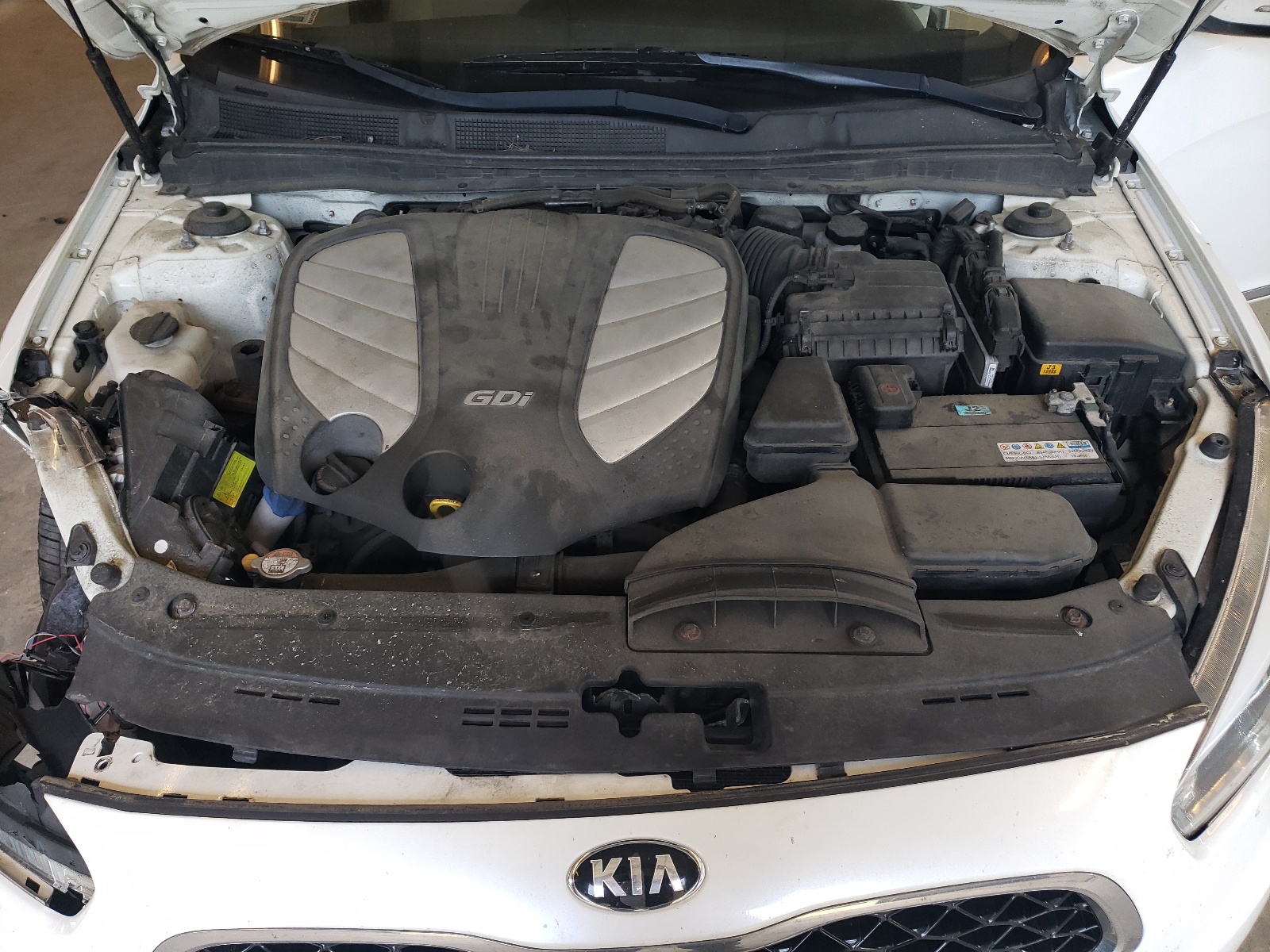 KNALN4D76E5161991 2014 Kia Cadenza Premium