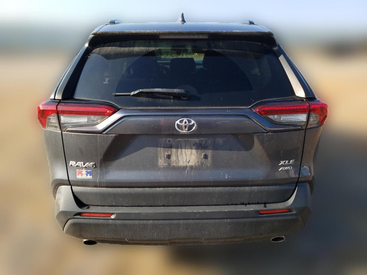 2019 Toyota Rav4 Xle VIN: JTMP1RFV4KD026776 Lot: 57206474