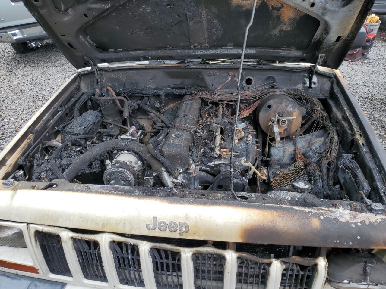 2000 Jeep Cherokee Sport VIN: 1J4FT48S0YL134185 Lot: 63900114