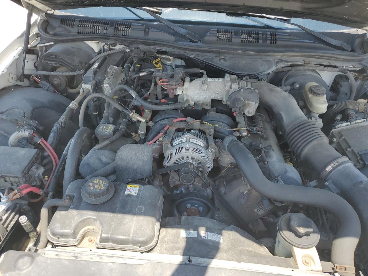 2010 Ford Crown Victoria Police Interceptor VIN: 2FABP7BV2AX109879 Lot: 60285604