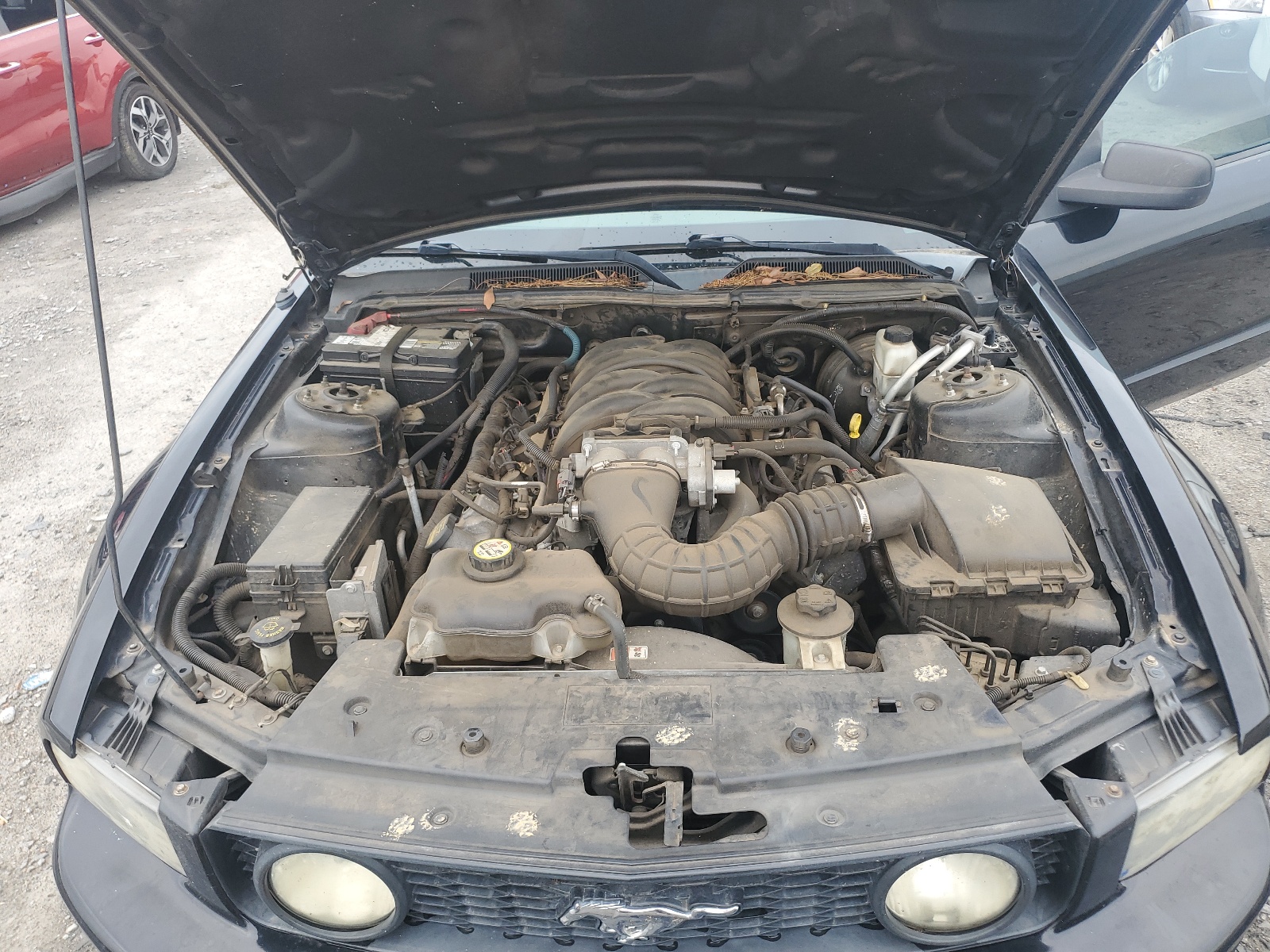 1ZVHT82H295146487 2009 Ford Mustang Gt