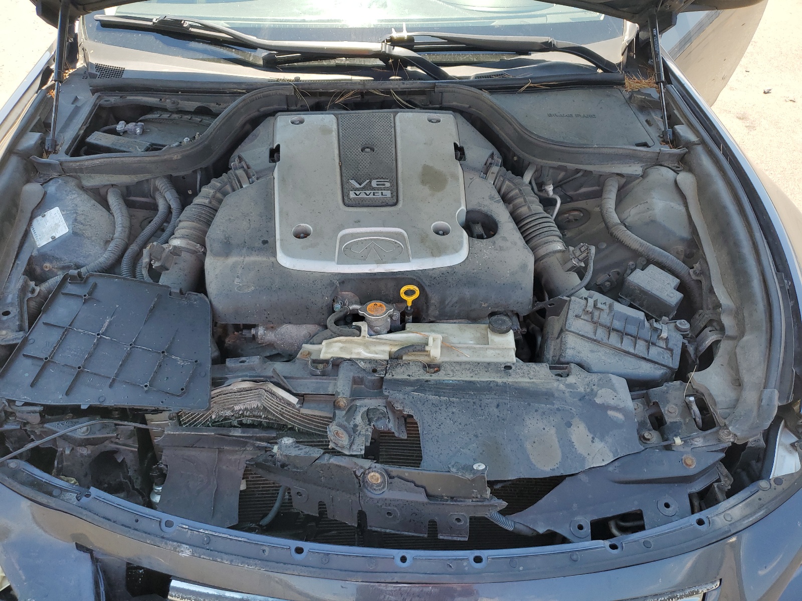 JNKCV64E38M106033 2008 Infiniti G37 Base