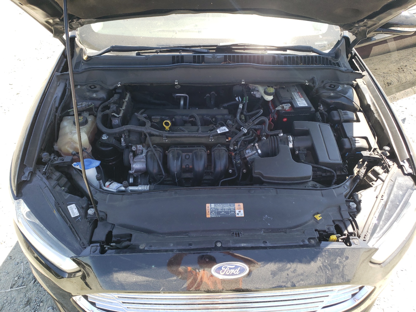 3FA6P0H78GR384262 2016 Ford Fusion Se