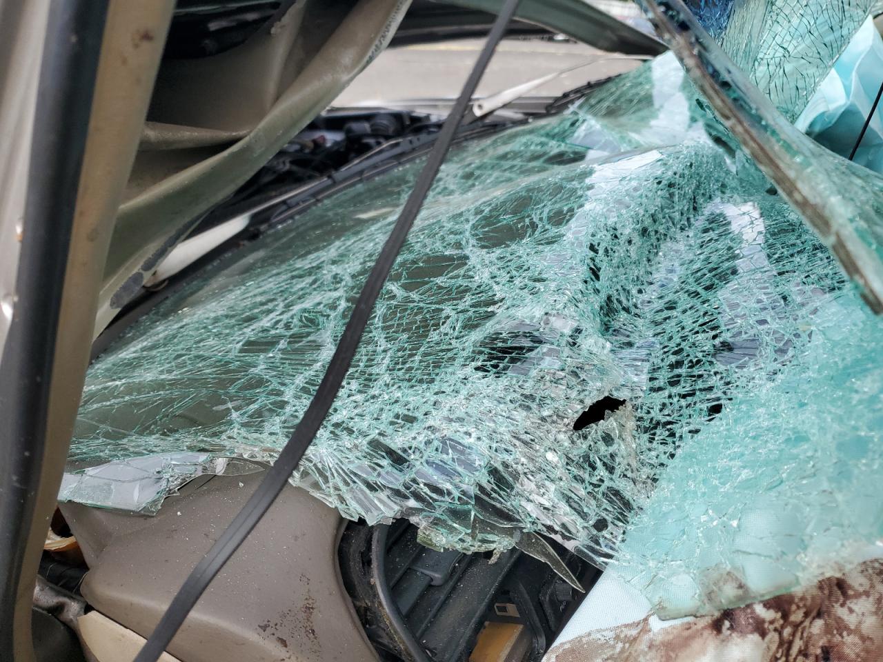 1996 Honda Accord Ex VIN: 1HGCD5661TA135952 Lot: 58605974