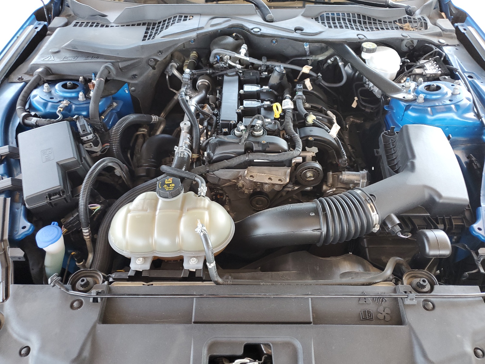 1FATP8UH3M5121031 2021 Ford Mustang