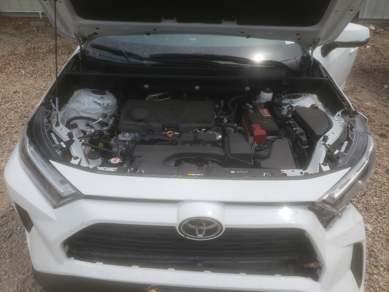 2T3W1RFV9NW212008 2022 Toyota Rav4 Xle