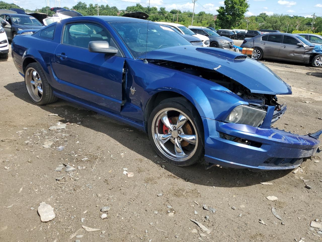 1ZVHT82HX95113902 2009 Ford Mustang Gt