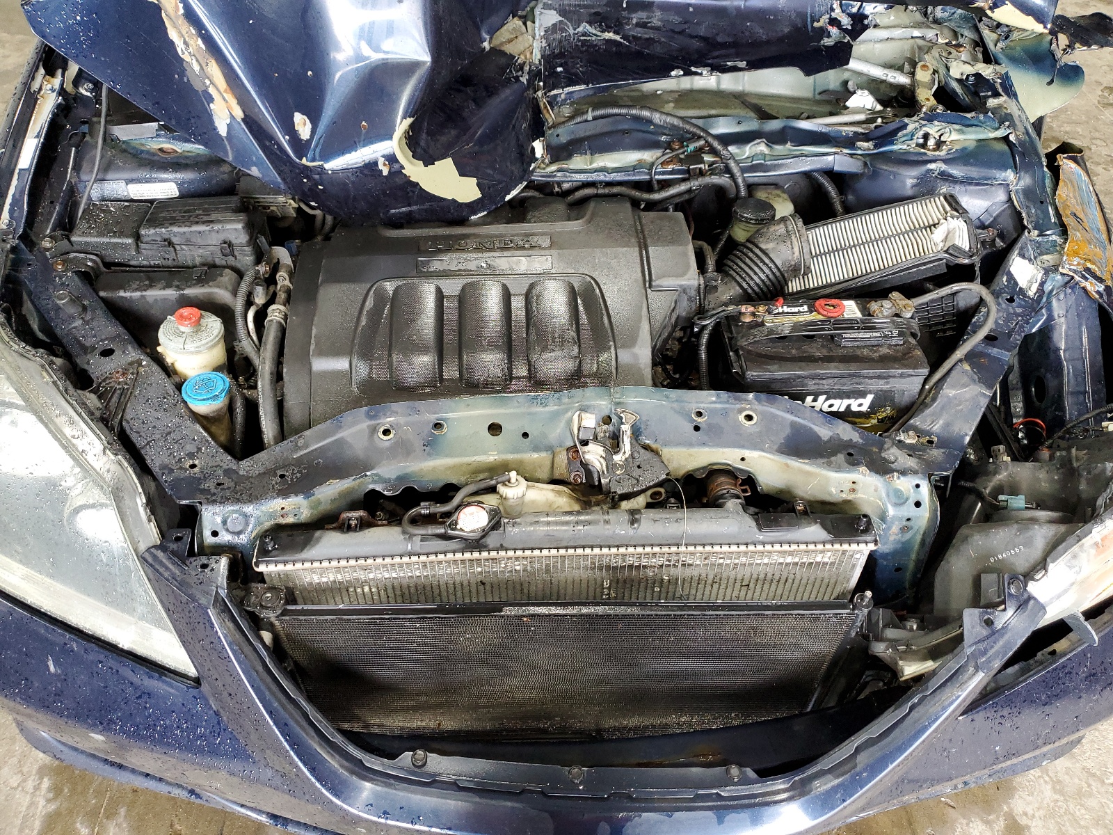 5FNRL38436B066284 2006 Honda Odyssey Ex