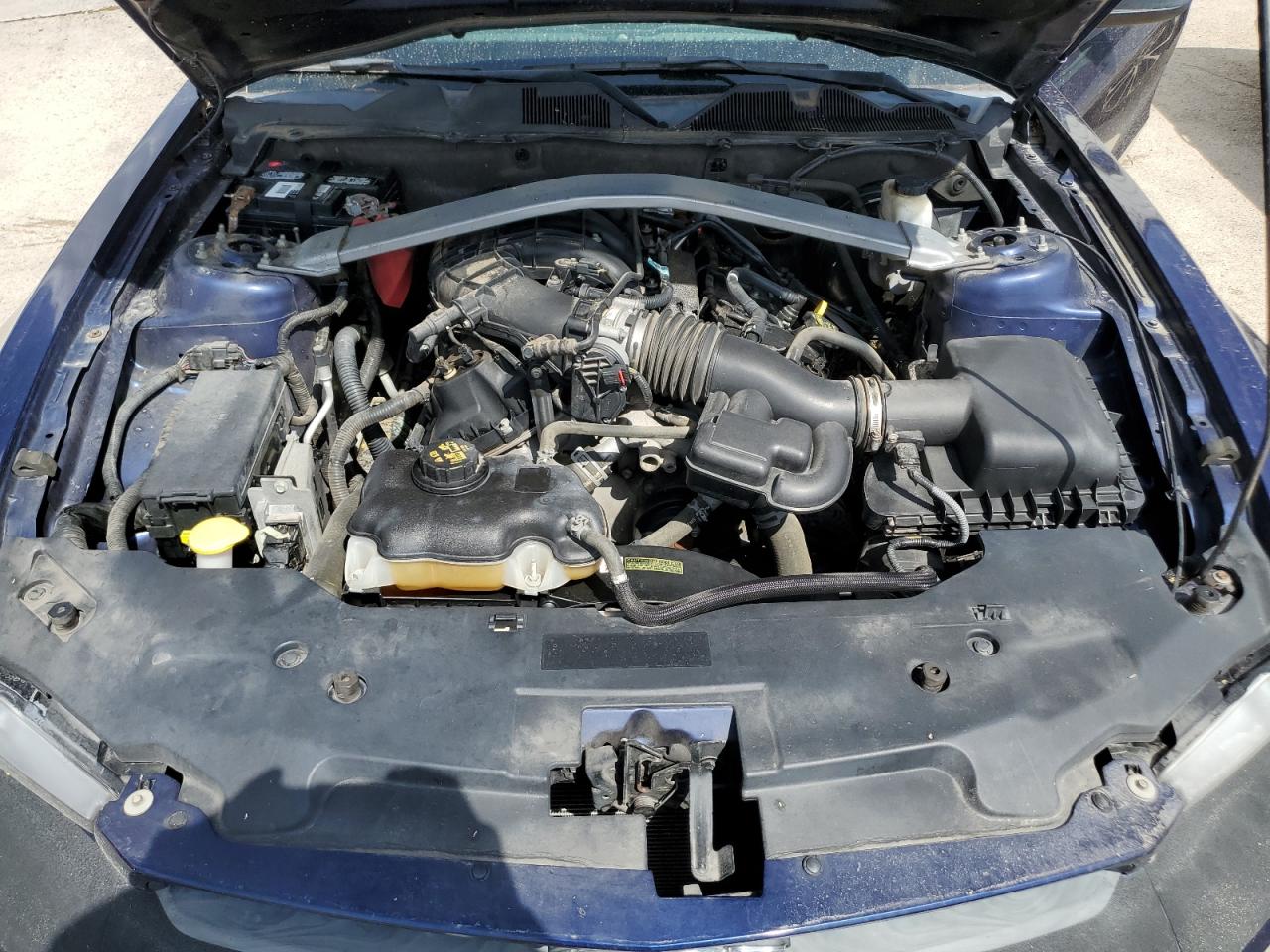 2011 Ford Mustang VIN: 1ZVBP8EMXB5135505 Lot: 59643914