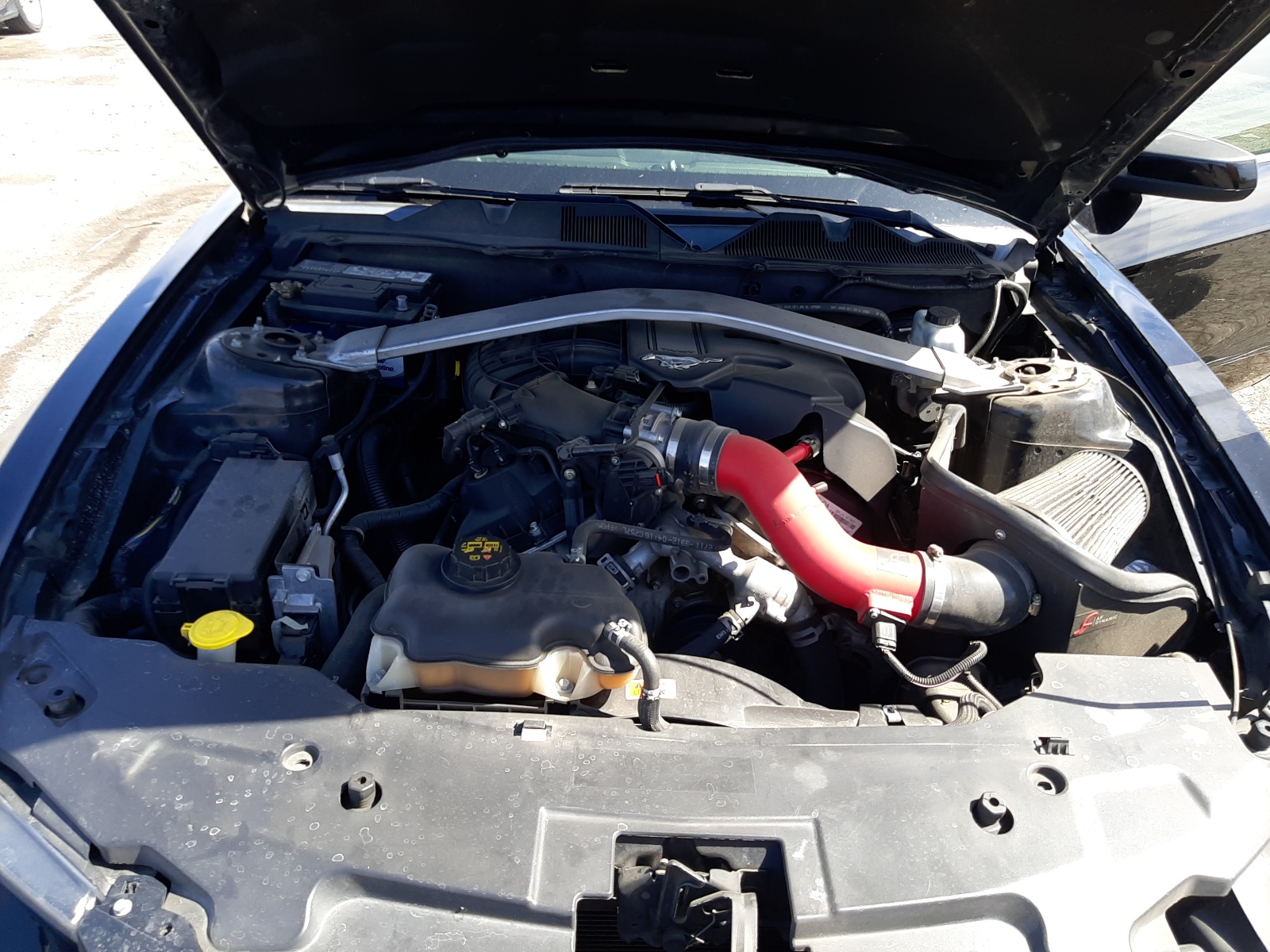 1ZVBP8AM3C5260787 2012 Ford Mustang