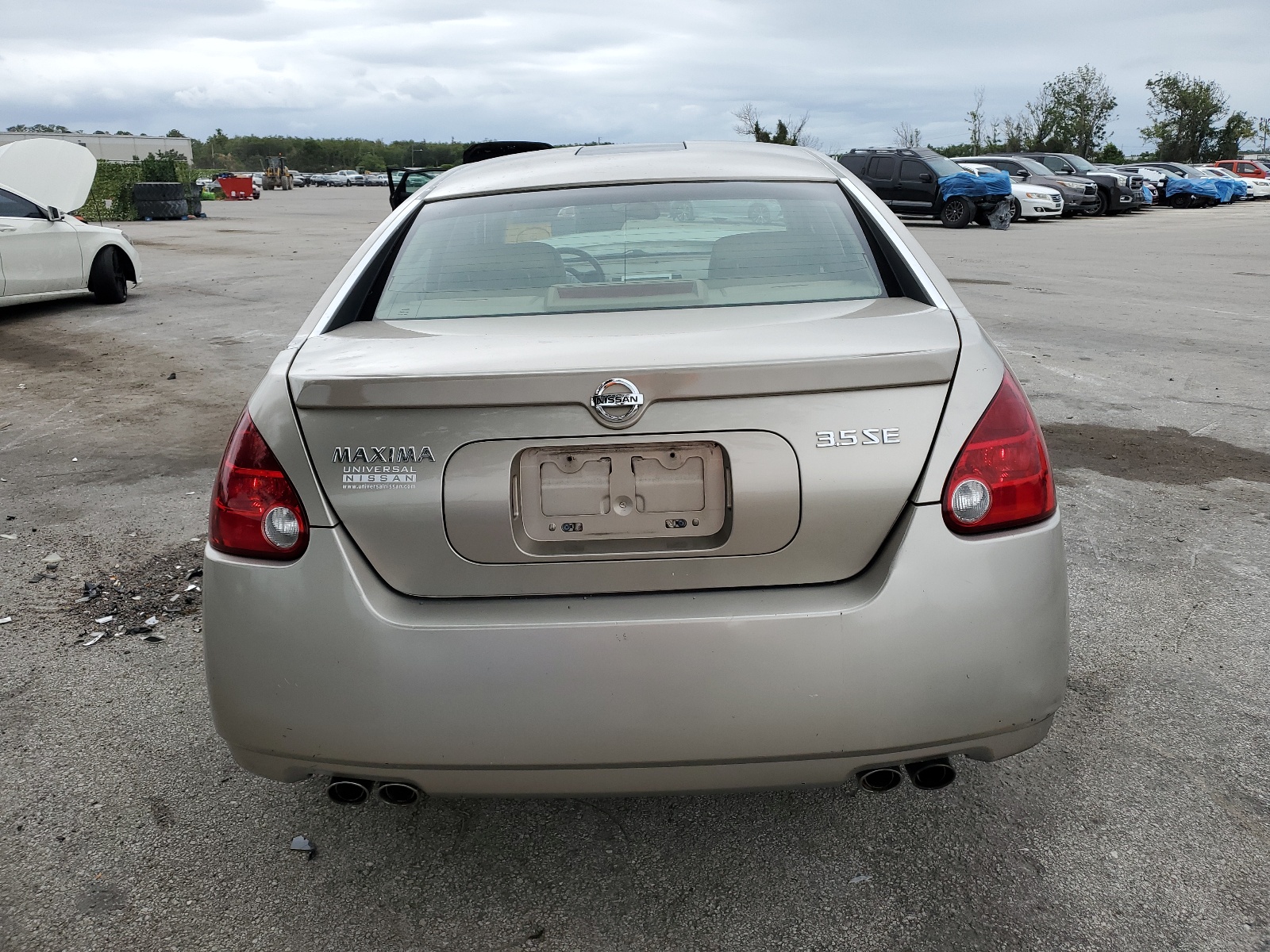 1N4BA41E45C806796 2005 Nissan Maxima Se