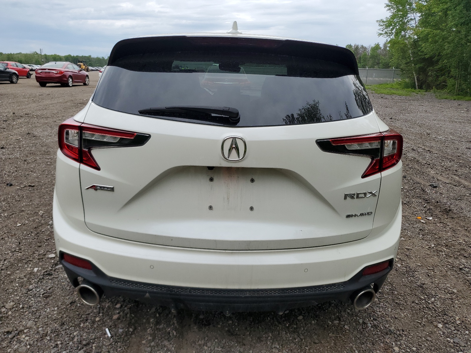 5J8TC2H61KL807137 2019 Acura Rdx A-Spec