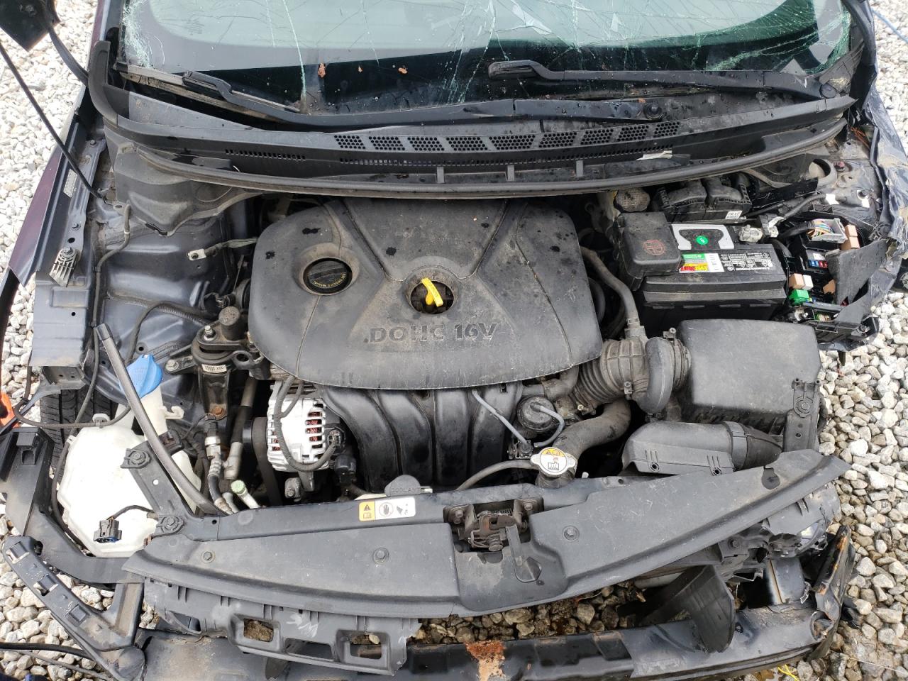 2016 Kia Forte Lx VIN: KNAFX4A63G5445259 Lot: 63090114