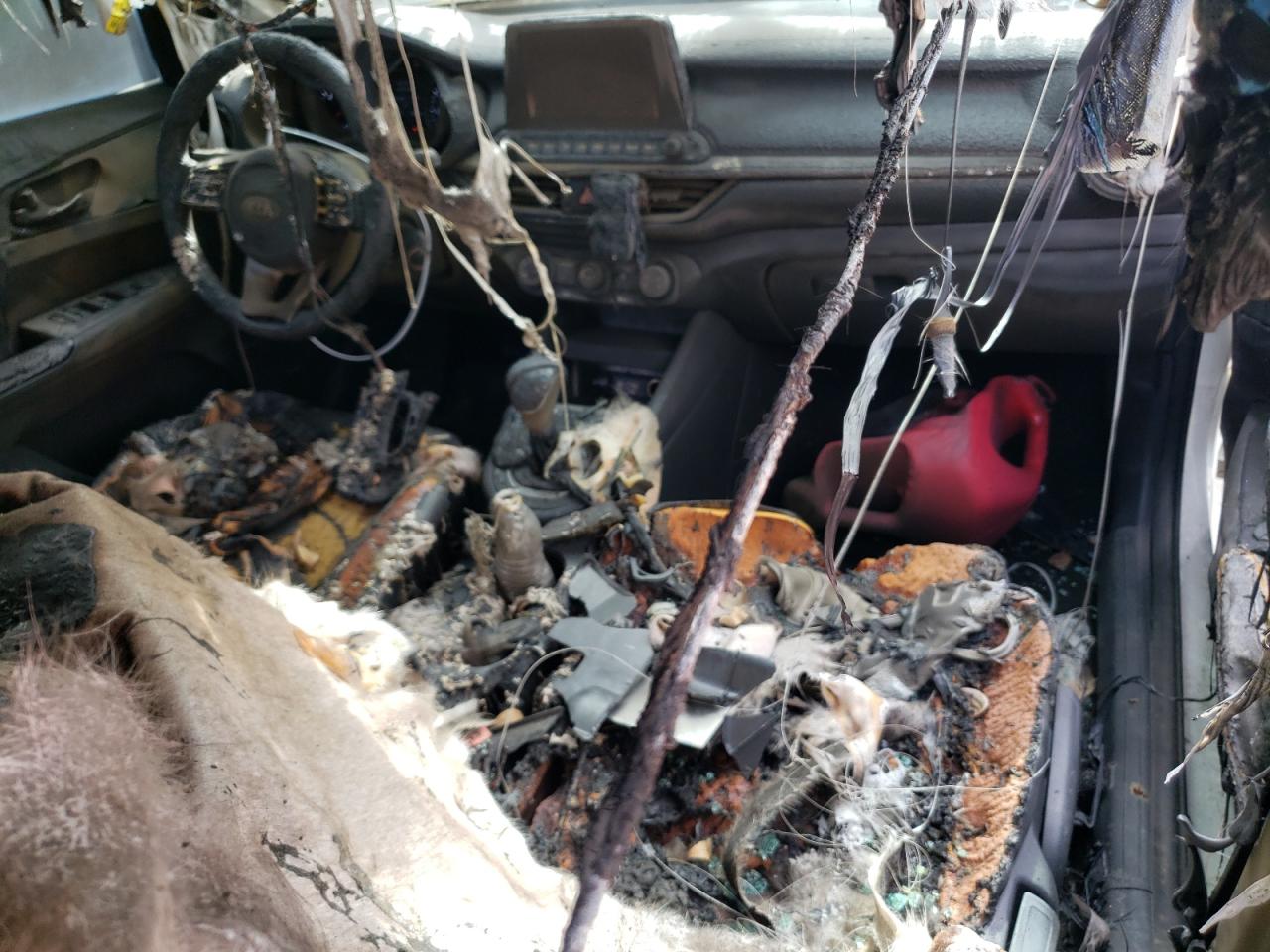 2021 Kia Forte Fe VIN: 3KPF24AD1ME350490 Lot: 59161984