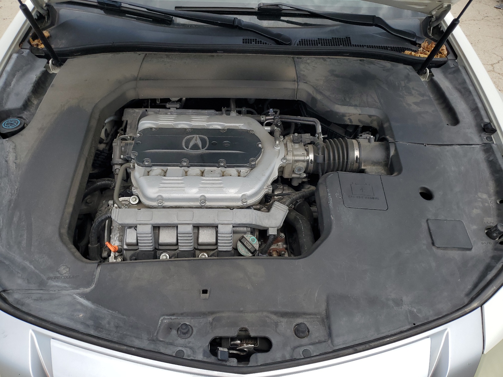 19UUA8F20AA024169 2010 Acura Tl