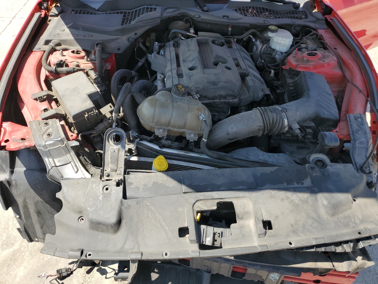 1FA6P8TH7K5150334 2019 Ford Mustang