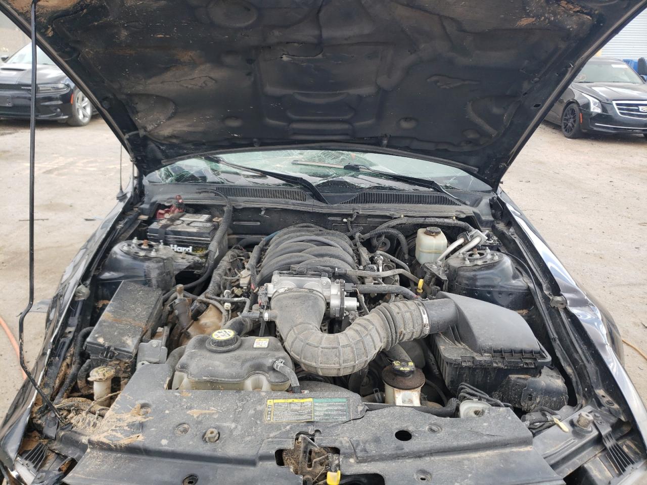 2006 Ford Mustang Gt VIN: 1ZVFT82H265156598 Lot: 57852524