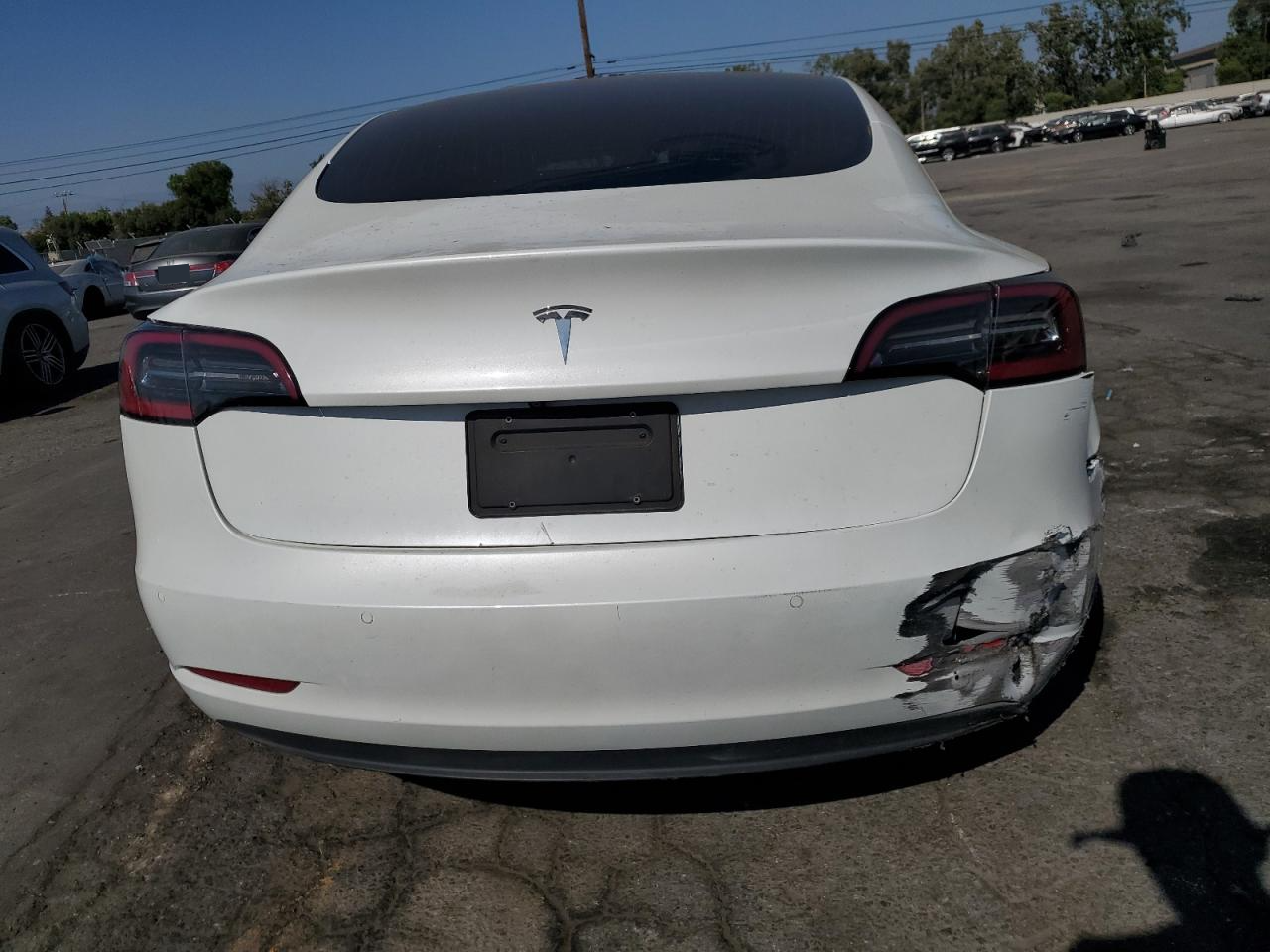 2020 Tesla Model 3 vin: 5YJ3E1EA4LF614786