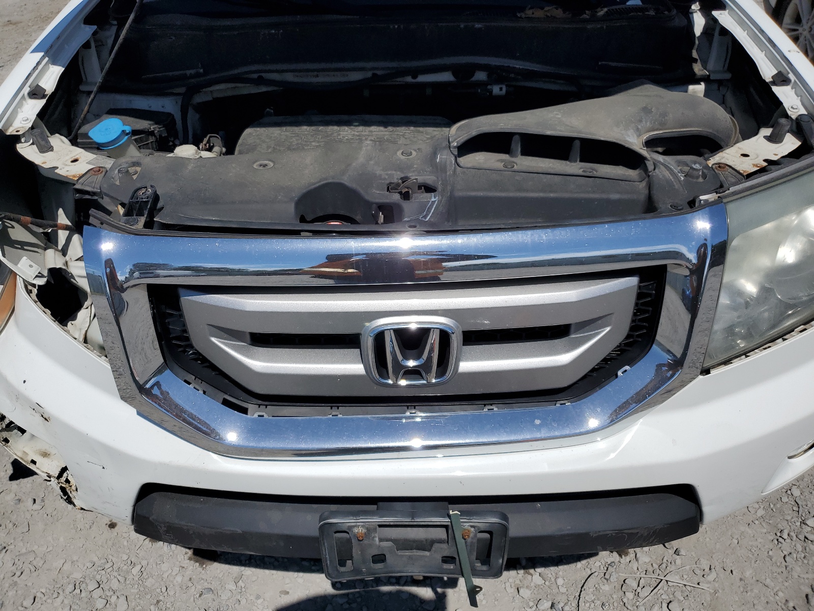 5FNYF4H51BB043954 2011 Honda Pilot Exl
