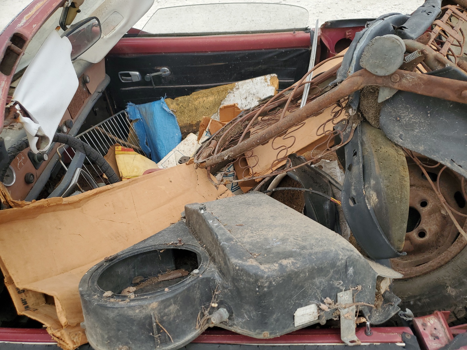 00000000149347891 1969 Volkswagen Karmammgha