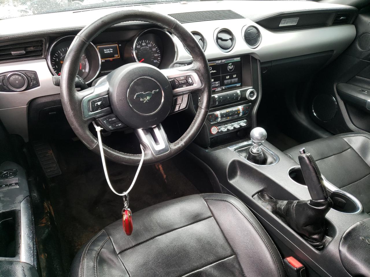 2015 Ford Mustang Gt VIN: 1FA6P8CF8F5374023 Lot: 57406154