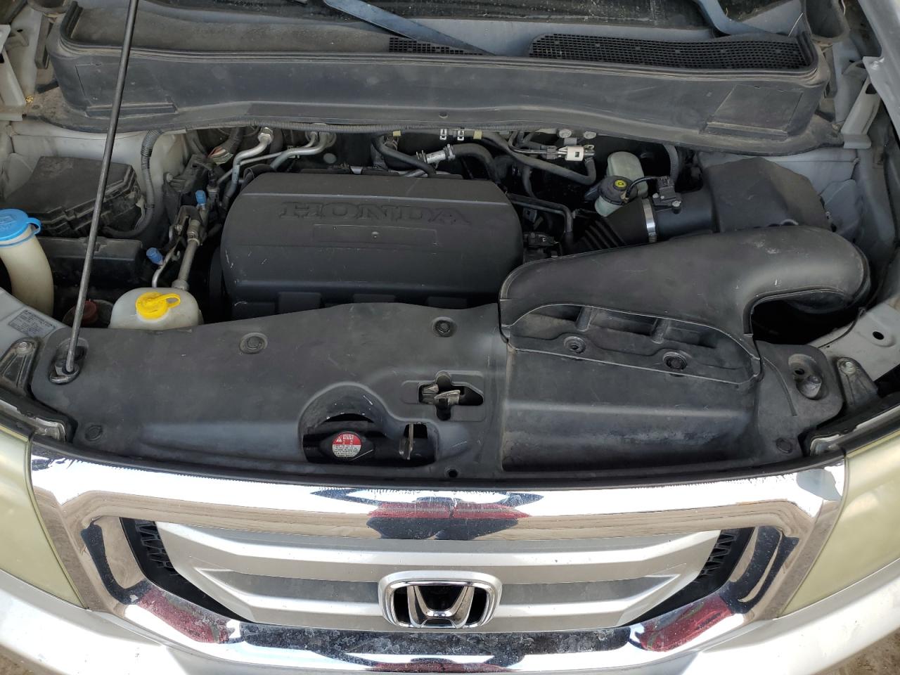 2010 Honda Pilot Exl VIN: 5FNYF4H58AB011517 Lot: 59066954