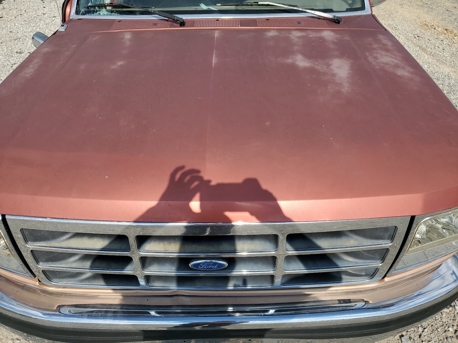 1FTEF15N6RNB55084 1994 Ford F150